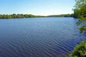 Kent Gets Ready To Battle Algae Invaders At Lake Carmel