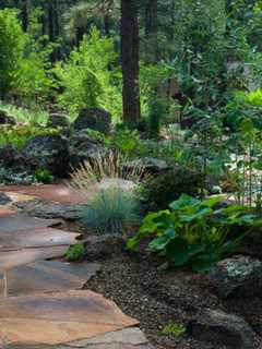 Ridgefield P&Z Reminds Residents To Use Caution When Updating Landscaping