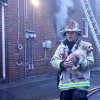 <p>What a hero looks like: Lodi Assistant Fire Chief Michael Lortz</p>