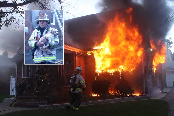 HEROES: Pets Rescued In Fierce Lodi Fire