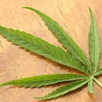 Sweeping New York Lawsuit Challenges Trump Administration Marijuana Policy