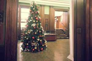 Holiday Fun Lined Up At Mt. Vernon Library Tree Lighting Fest