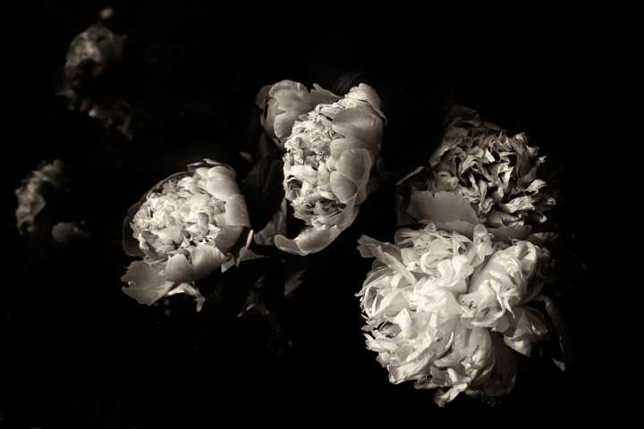 Photographer Amy Dolego Holding Solo Exhibition In Southport