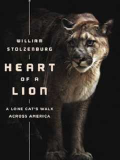 William Stolzenburg Visiting Westmoreland Sanctuary In Bedford