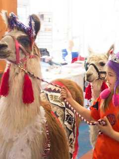 Poughkeepsie Mini Maker Faire Celebrates Invention