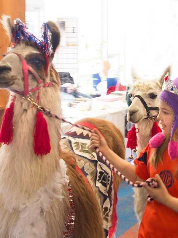 Poughkeepsie Mini Maker Faire Celebrates Invention