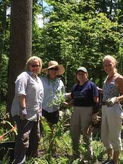 Lewisboro Land Trust Wins Award For Levy Garden