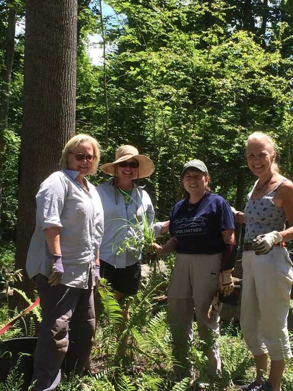 Lewisboro Land Trust Wins Award For Levy Garden