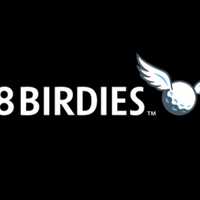 <p>18Birdies</p>