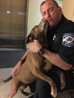 Suffern Police Pick Up Lost Pooch