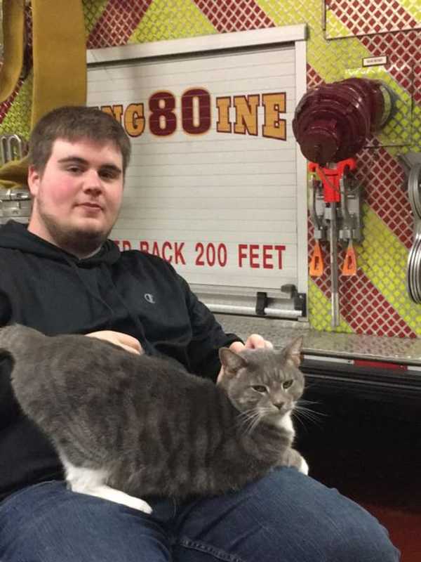Tarrytown Firefighters Rescue Cat, Seek Owners
