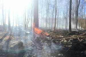 Brush Fire Threatens Homes In Somers, Burns Several Acres