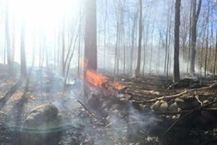 Brush Fire Threatens Homes In Somers, Burns Several Acres