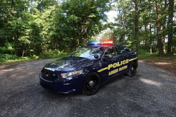 Cases Of 2 Dead Dogs Found Along Lower Paxton Trail Believed To Be Related, Police Say