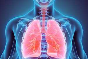 Better Your Health With Our New Lung Cancer Screening Program