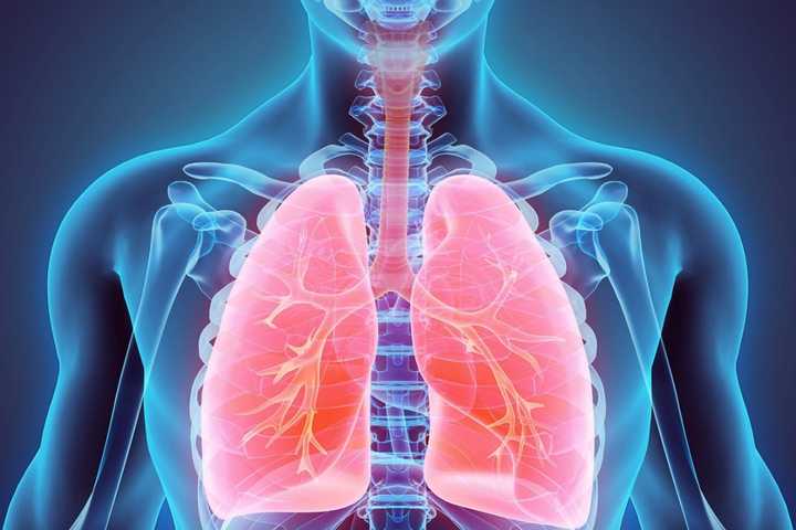 Better Your Health With Our New Lung Cancer Screening Program
