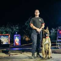Morris County K-9 Who Won A&E Series Hit With Glass Bottle, Punched By Unruly Man During Arrest