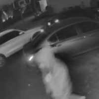 Attempted Break-In Caught On Camera In Bucks County: Authorities