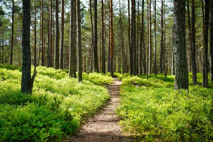 Oscar-Winning Director Posts Photos Of His Holiday Hike In The Berkshires