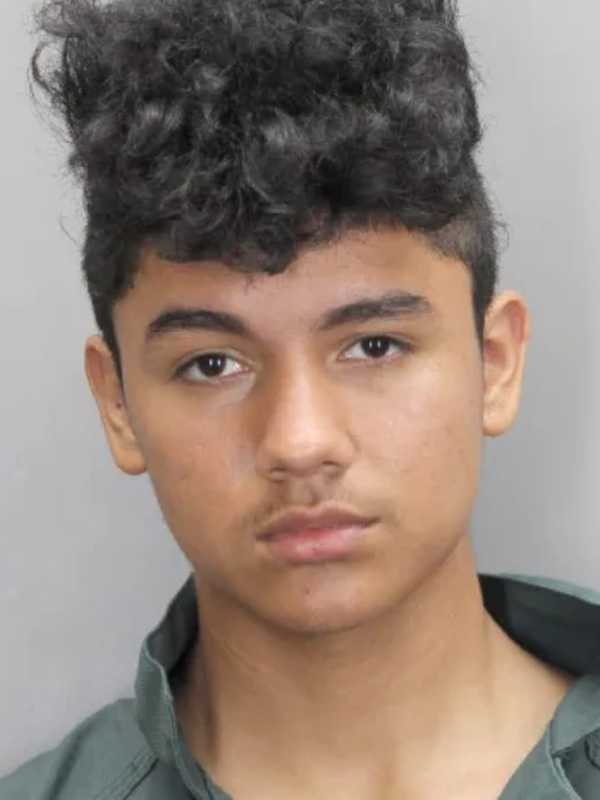 Teen Responsible For 9 Smash-And-Grab Fairfax County Burglaries: Police