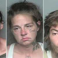 Wayne Police Bust Trio Following Alleged Knifepoint Robbery At Route 23 Motel