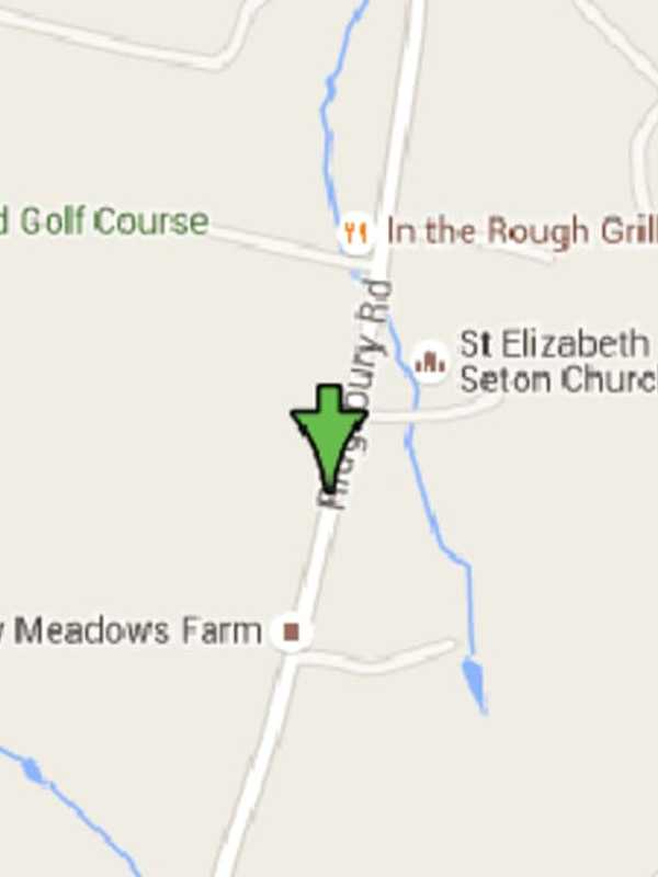 Ridgefield Fire Damages Home, But Family, Dog Are Unharmed