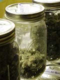 Smokers Unite In The Tri-State Area For National Weed Day