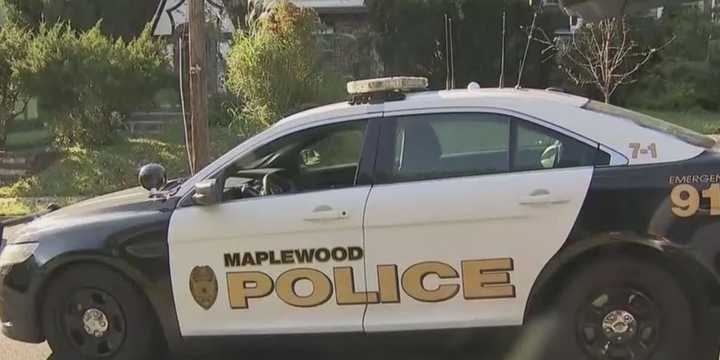 An armed robbery at a Maplewood home was stopped by one of the victims, who shot at the intruders with one of their own guns.