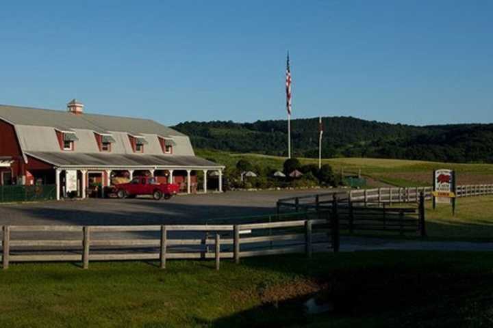 McEnroe Farm Celebrates Opening Of Season