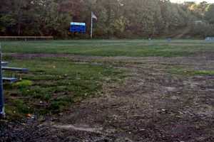Turf Options Divide Washington Township Residents