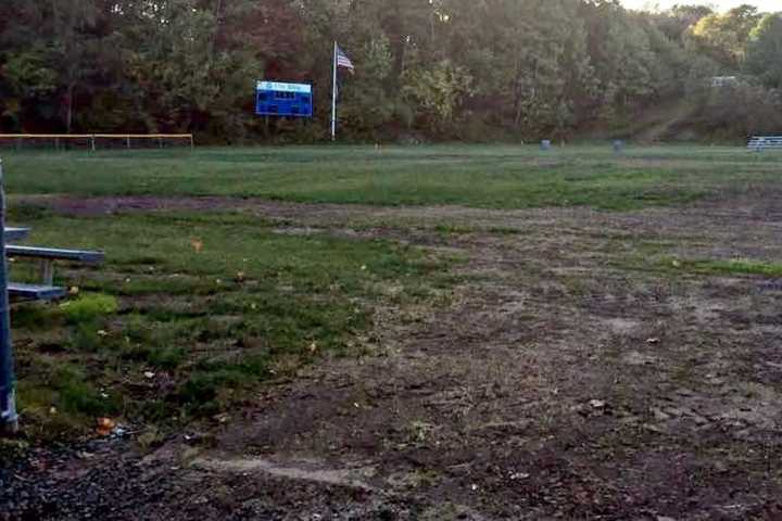 Turf Options Divide Washington Township Residents