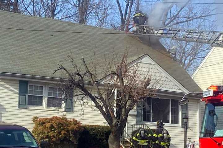 Responders: Dog Hospitalized In Hackensack Fire