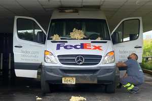 FedEx Van Gets Wedged Under Glen Rock Building: Guess How They Got It Out