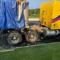 Fowl Smell: Truck Spills Decomposed Chicken Carcasses Along Route 17