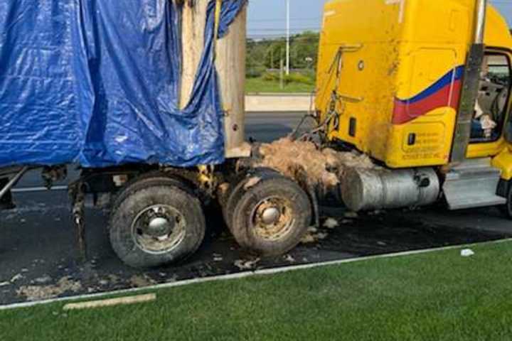 Fowl Smell: Truck Spills Decomposed Chicken Carcasses Along Route 17