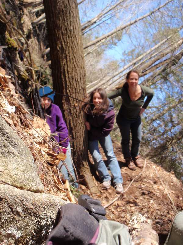 Bedford's Mianus River Gorge Preserve Plans Walking Tour Of New Acquisition