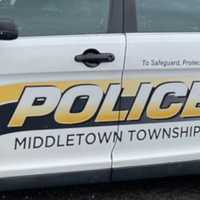 Levittown Man, 23, Dies In Rollover Crash: Authorities