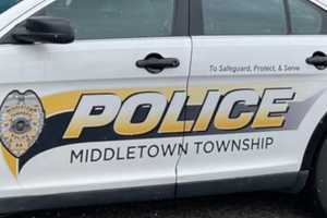 Levittown Man, 23, Dies In Rollover Crash: Authorities