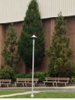 Volunteers Aim To Shelter Midland Park High School Baseball Players 