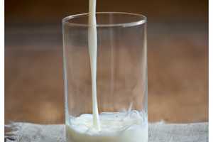 Contaminated Milk That Can Lead To Potentially Fatal Infection Sold In Hudson Valley