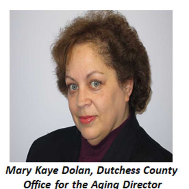 Mary Kaye Dolan is retiring as director of the county&#x27;s office for the aging in January.