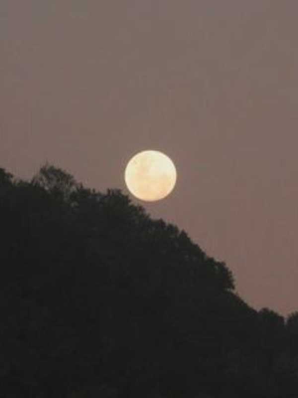Look Up, Greenburgh, Rare Full Moon To Shine Christmas Day