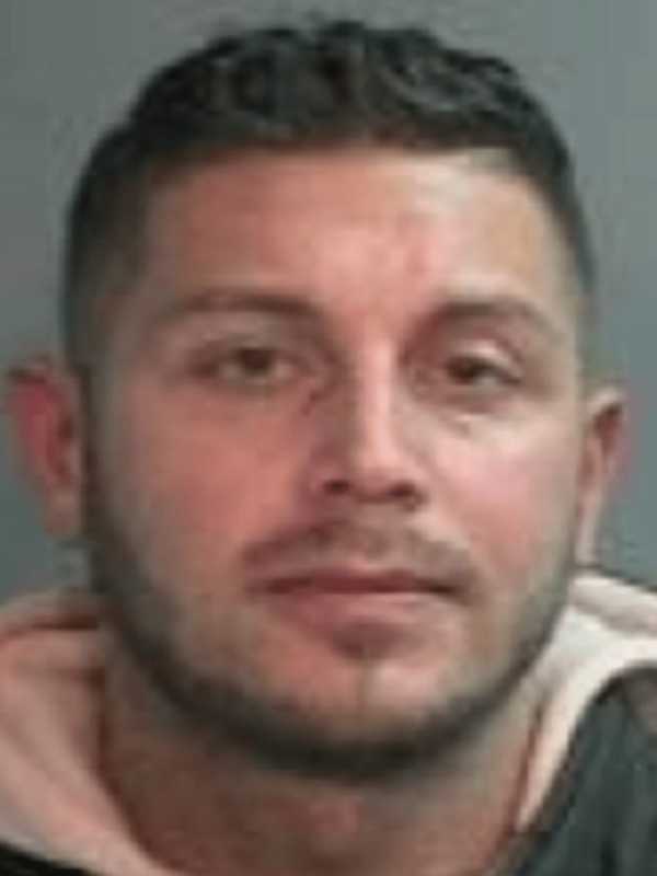 Reckless Valhalla Driver Drank 'Catnip Cocktail,' Police Say