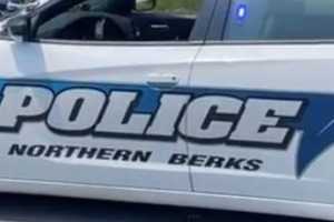 Gunman Opens Fire At Cars, Flees Police In Berks County: Authorities