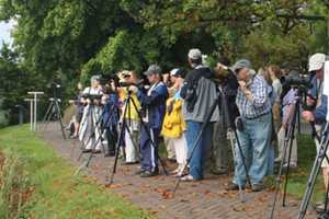 Expect Bird Sightings On Little Ferry Nature Walk