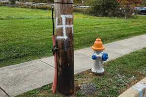 Swastika Painted On Telephone Pole In Warrington