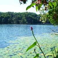 Teen Dies While Swimming At CT Pond