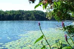 Teen Dies While Swimming At  Uncas Pond In Lyme