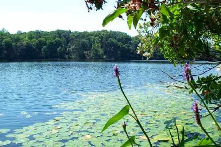 Teen Dies While Swimming At CT Pond