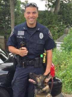 Nonprofit Donates Body Armor To New Canaan Police K9